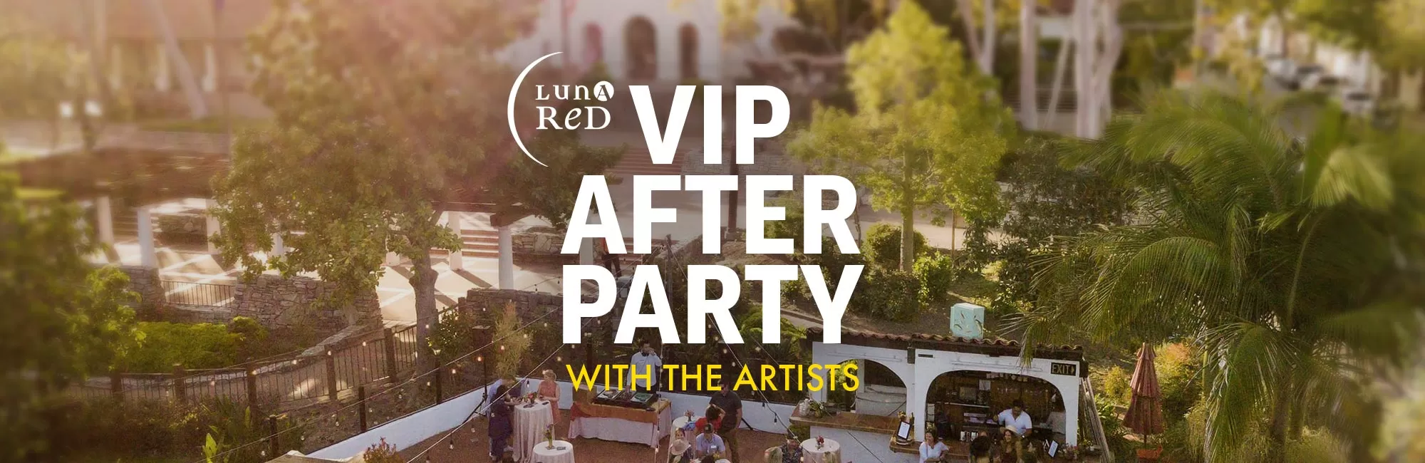 VIP After Party with the Artists