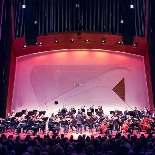 Festival Mozaic Orchestra