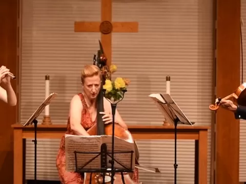 Mozaic Moments - Schulhoff Concertino for flute, viola and bass