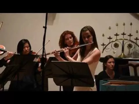 J. S. Bach Brandenburg Concerto 5